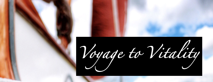 voyage to vitality logo