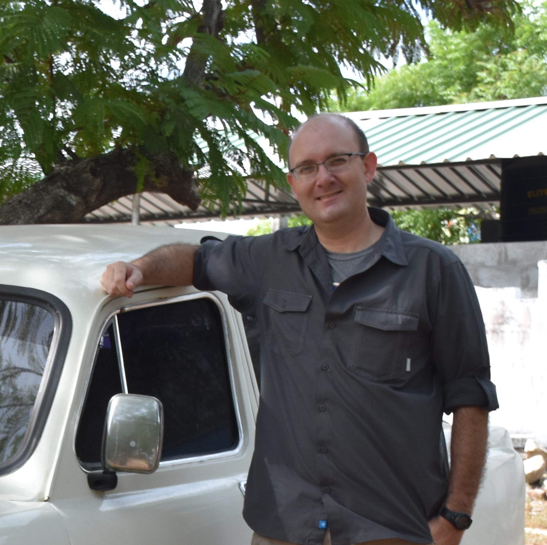 Solitary lion at Ol Pejeta, Kenya
