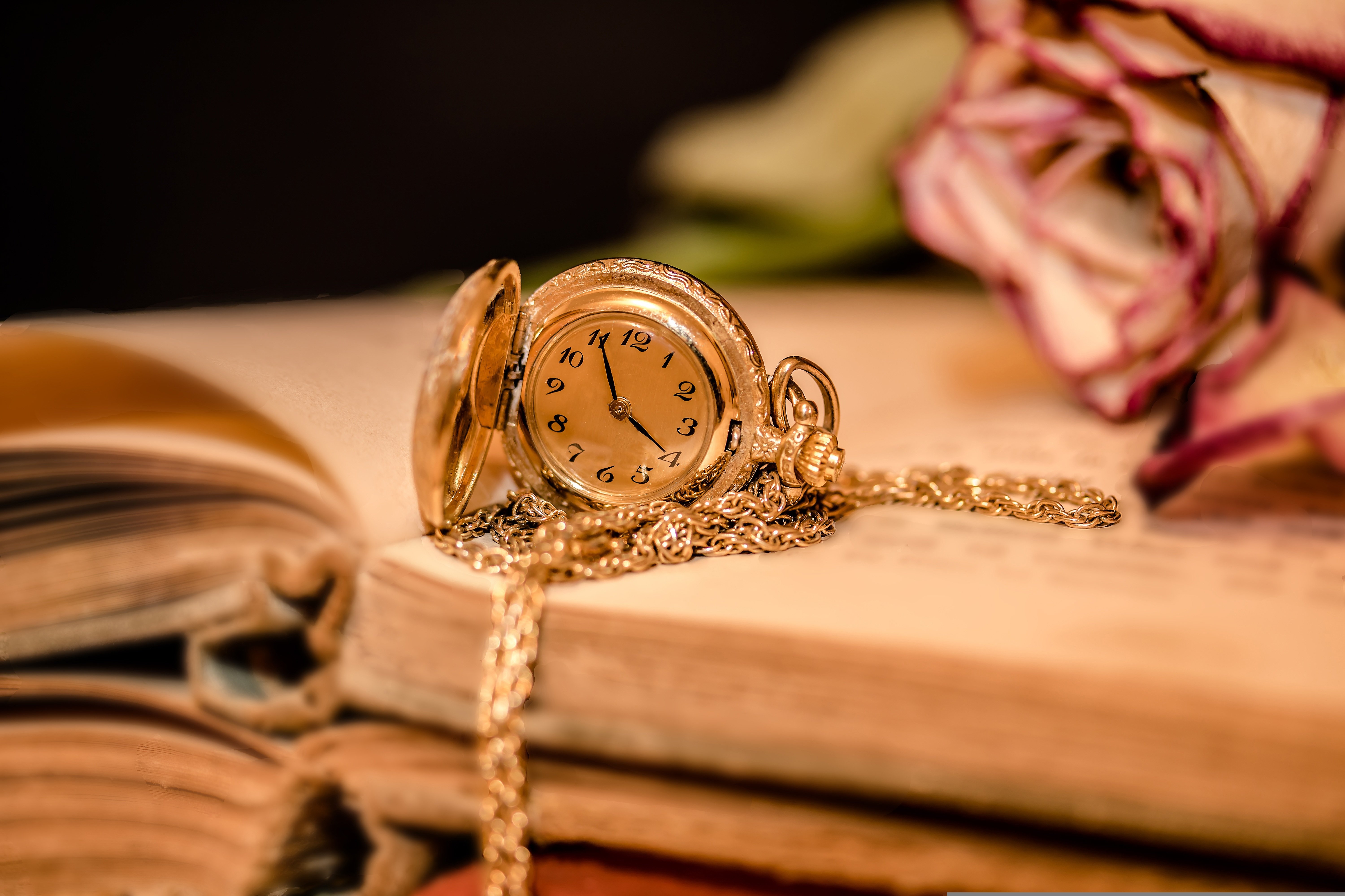 a beautiful watch on a book