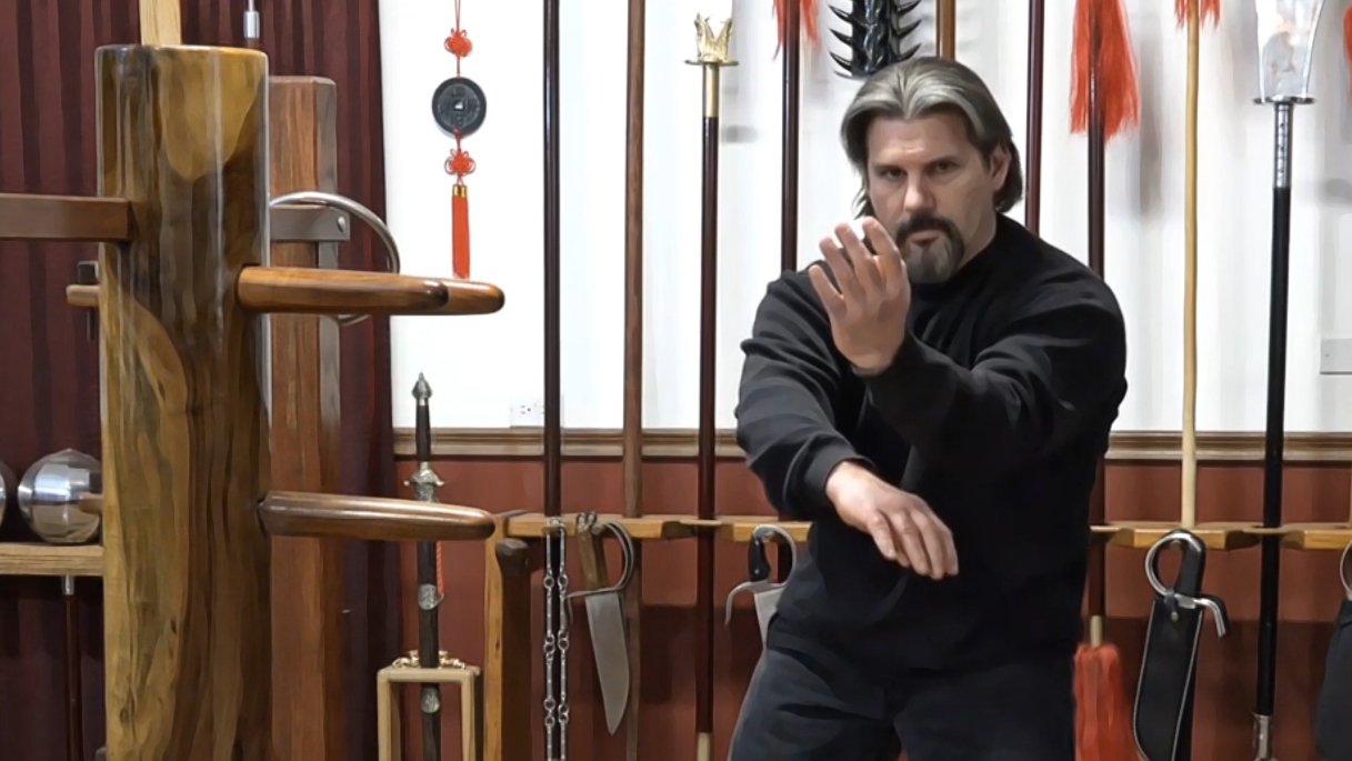 Wing Chun Kung Fu Ring Training