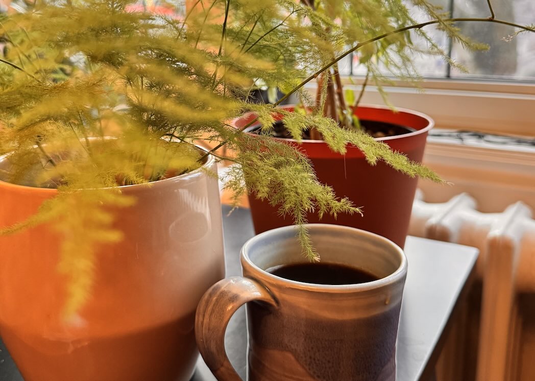 Pause with a hot cup of coffee, breathe, expand. 