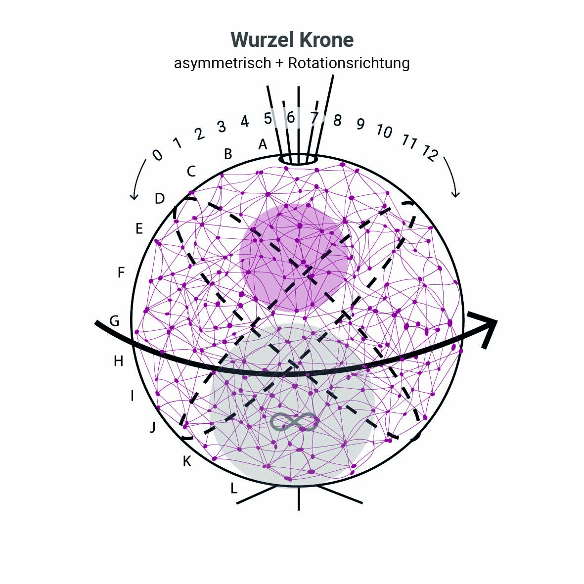 AES AL2-6 Basis Ausbildung