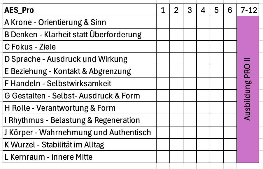 AES AL2-6 Basis Ausbildung