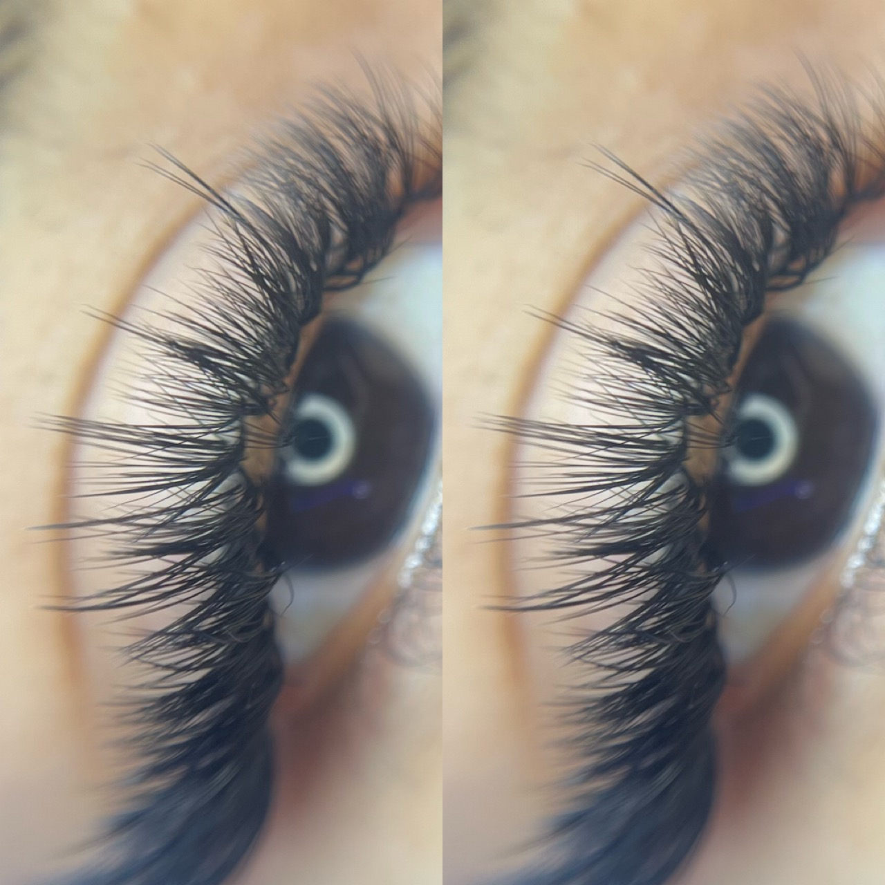 Online Lash Extension Courses