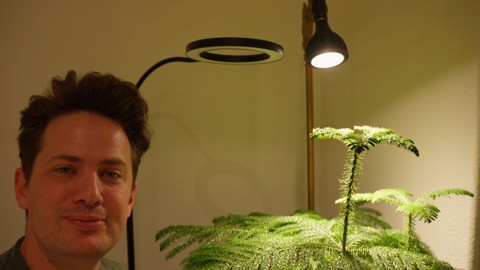 Tanner demonstrates measuring light at a houseplant under grow lights.