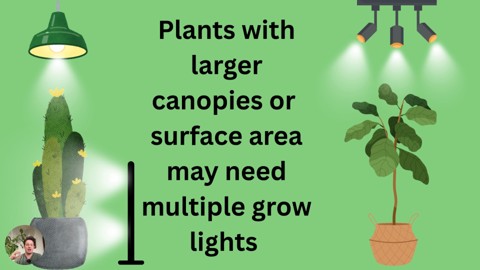 Course illustration showing multiple grow lights covering a large plant canopy.