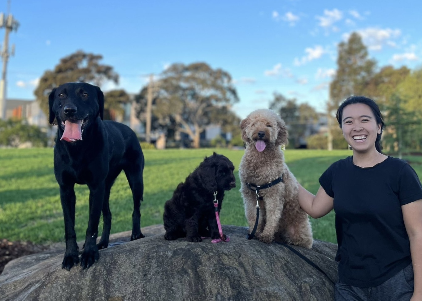 Melbourne dog trainer Diona Chu sitting in a park with three dogs, including   her black Labrador Murphy