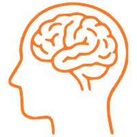 Brain