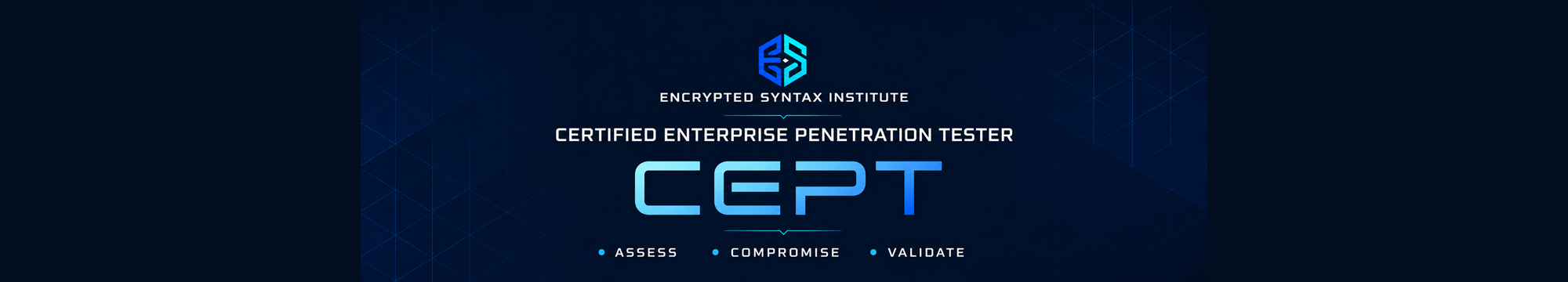 Centered Encrypted Syntax Institute CEPT banner featuring Assess, Compromise and Validate