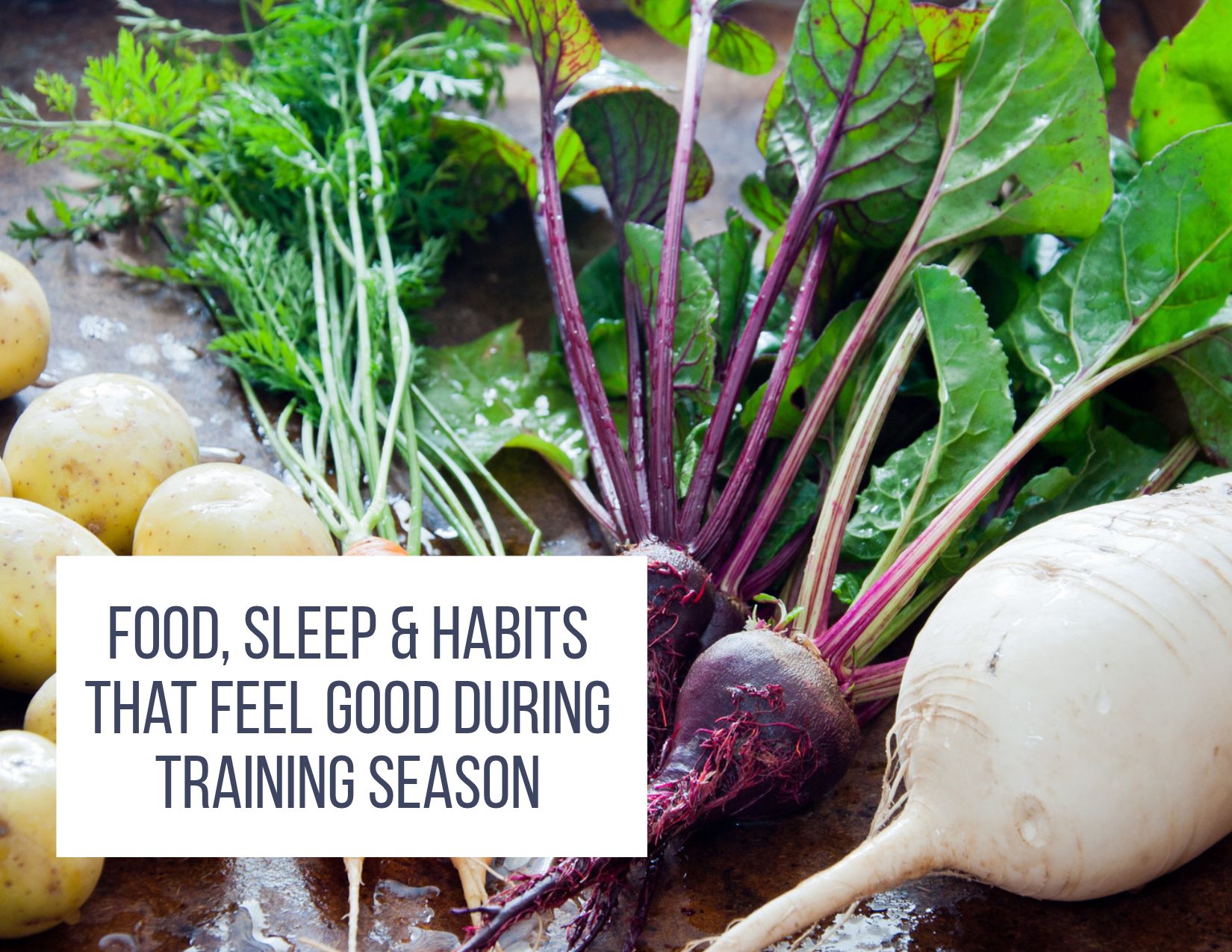 Soup bowls with text: food, sleep & habits that feel good in the off season