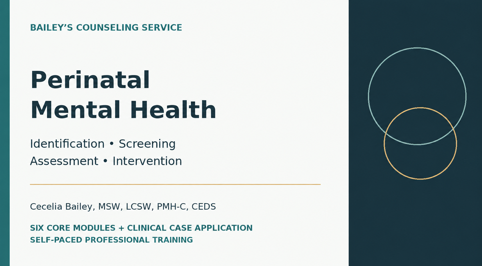 Bailey’s Counseling Service perinatal mental health professional training with Cecelia Bailey.