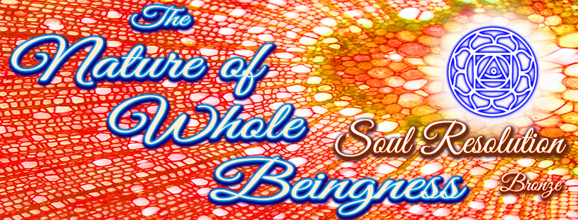 The Nature of Whole Beingness - Soul Resolution * Bronze The Nature of Whole Beingness - Soul Resolution * Bronze