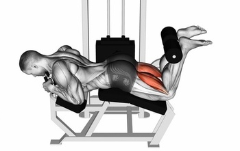 3 Key Muscles 3 Key Muscles