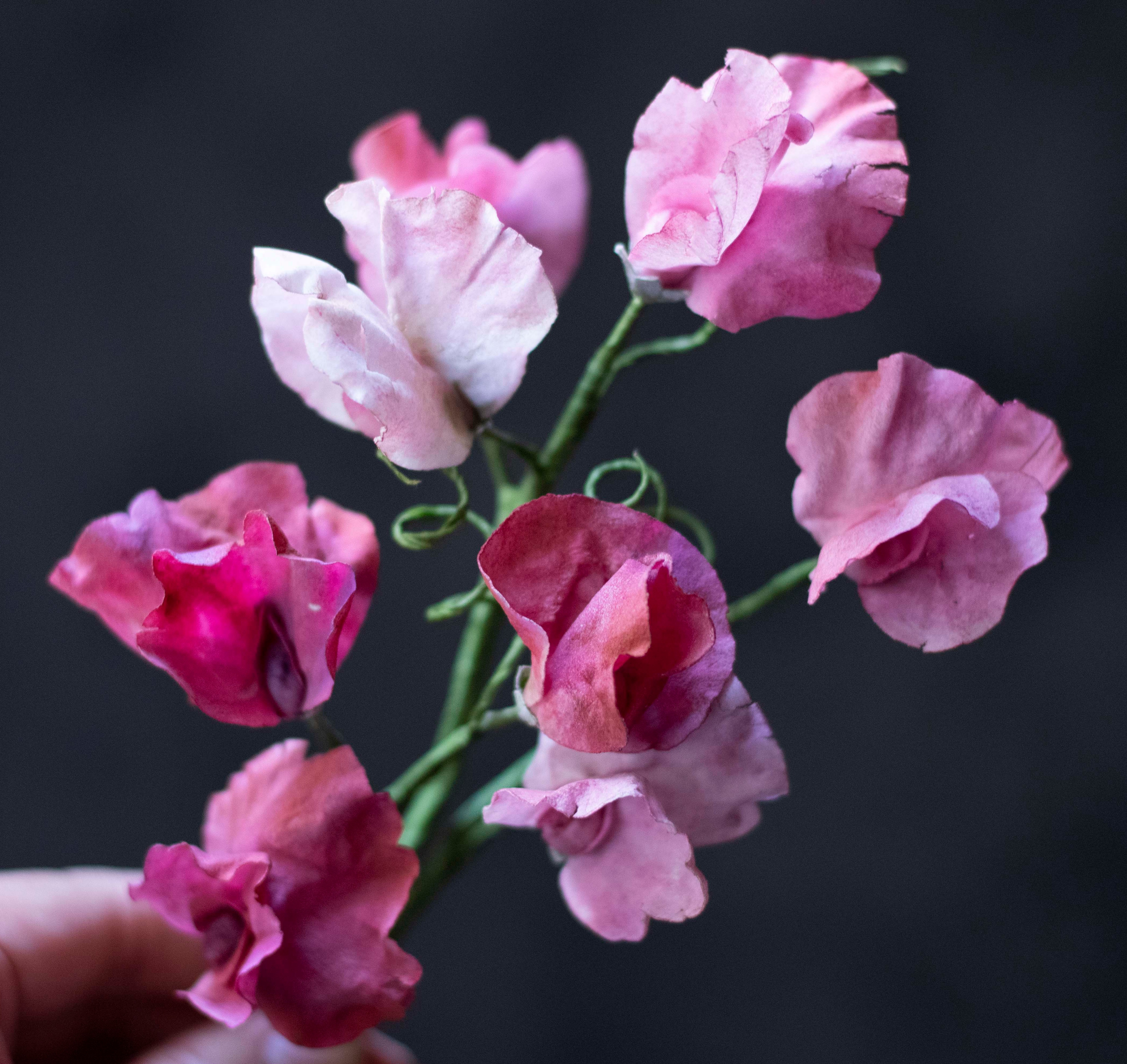 Wafer Paper Flowers Online Course