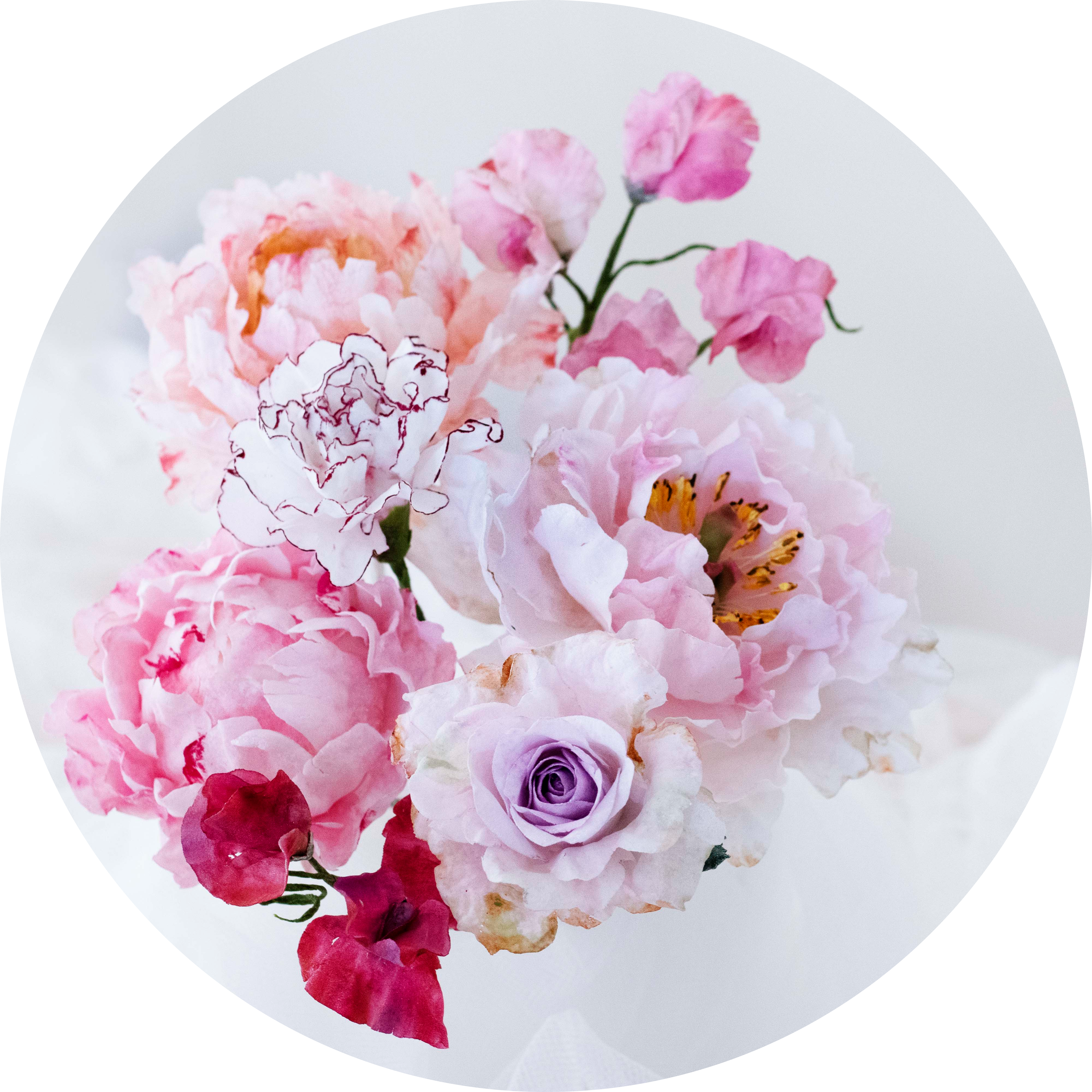 Cake Insider Academy Growth Secrets To Becoming A Pro Cake Decorator