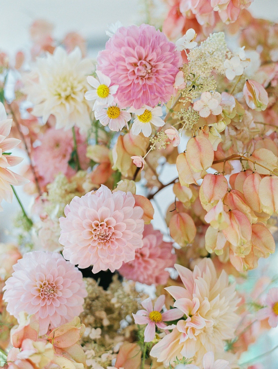 Bloomy FoamFree Arch Design