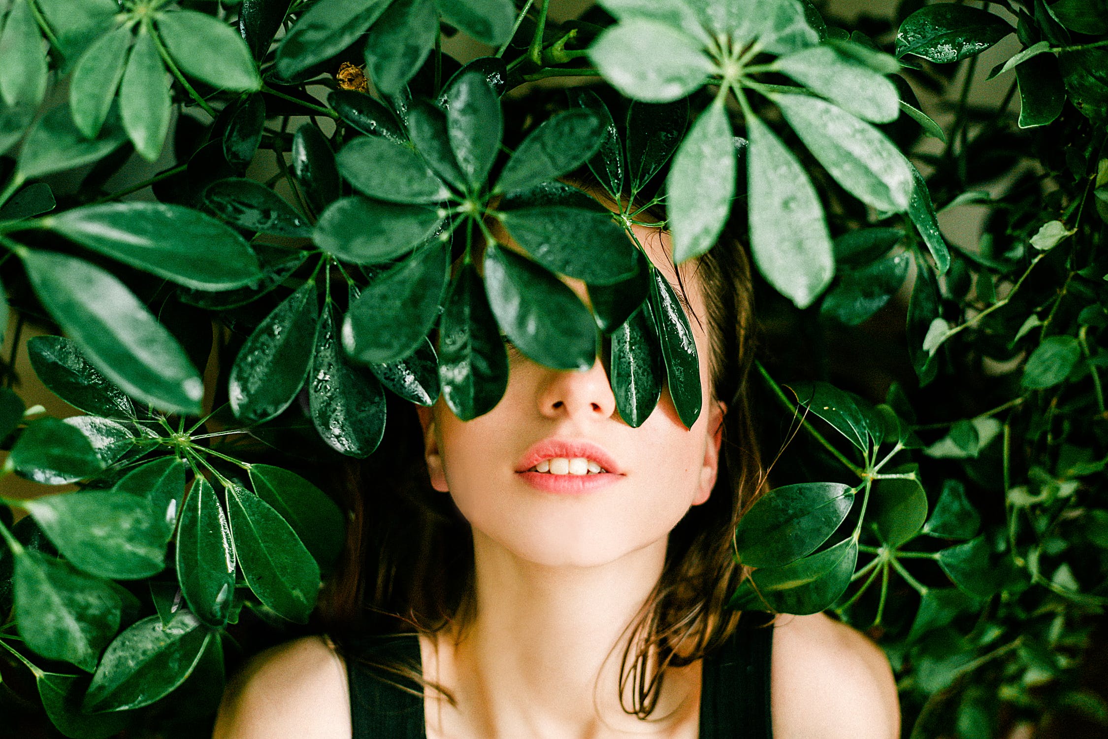 Découvrez l'univers fascinant des plantes avec les Âmes Fleurs! Découvrez l'univers fascinant des plantes avec les Âmes Fleurs!