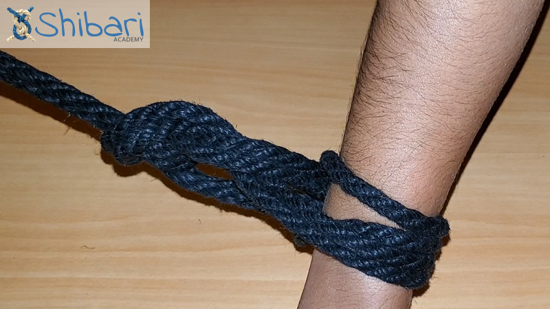 Leash Shibari Leash Shibari