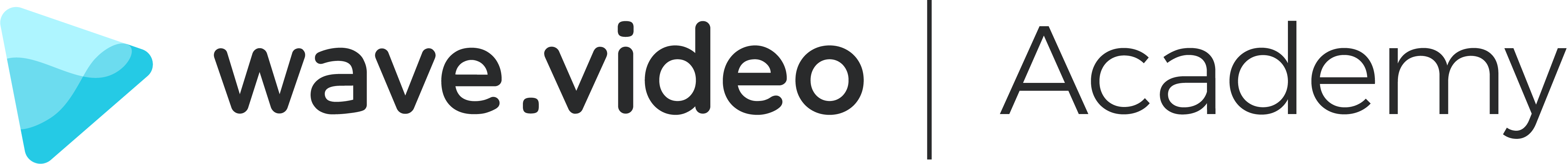 Wave.video Academy