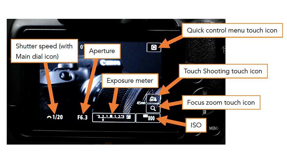 canon r50 guide