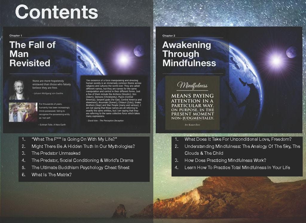 The Mindfulness Blueprint The Mindfulness Blueprint