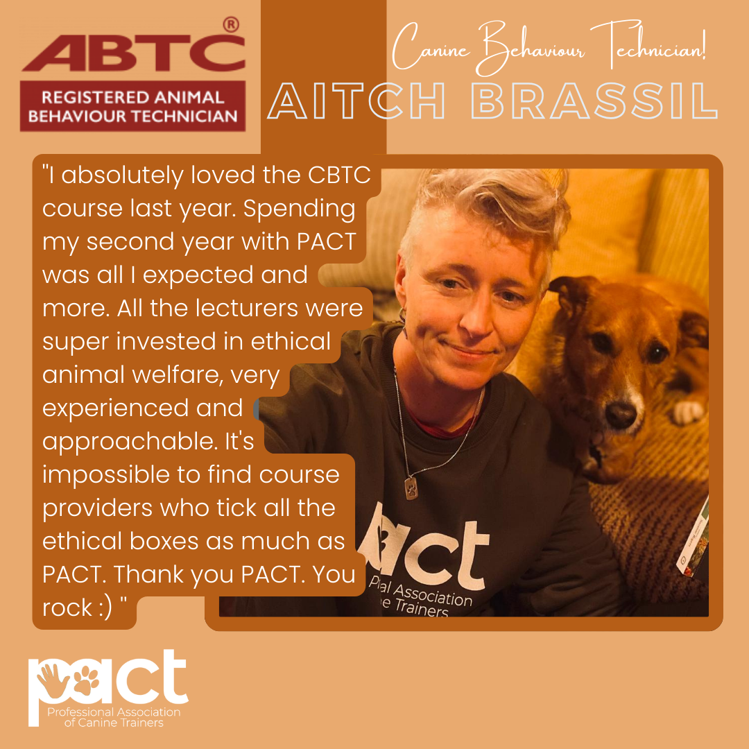 person taking selfie with dog