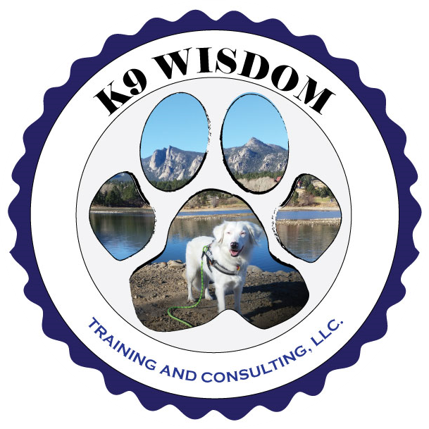 k9 wisdom training