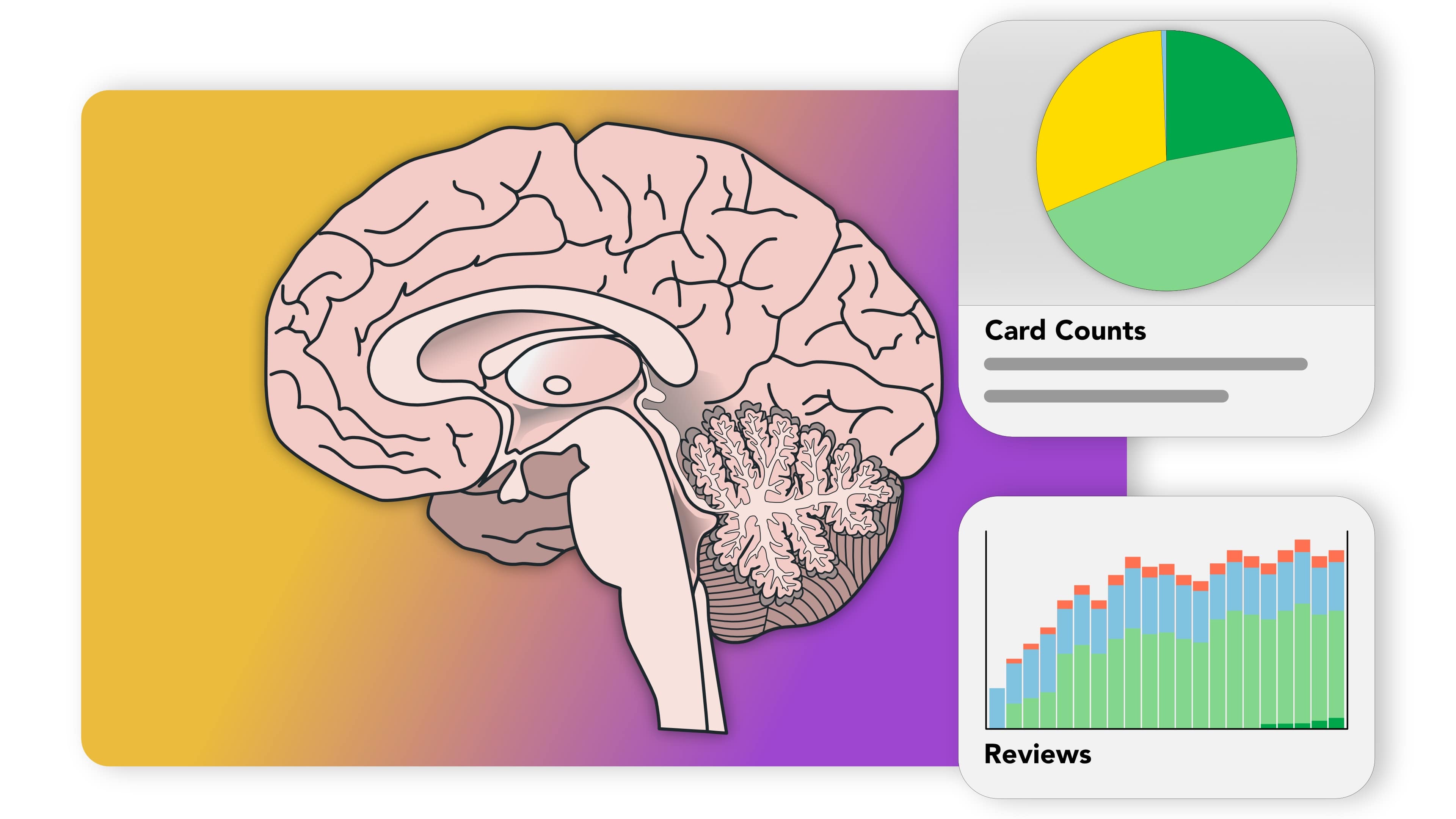 best pyschology deck anki mcat