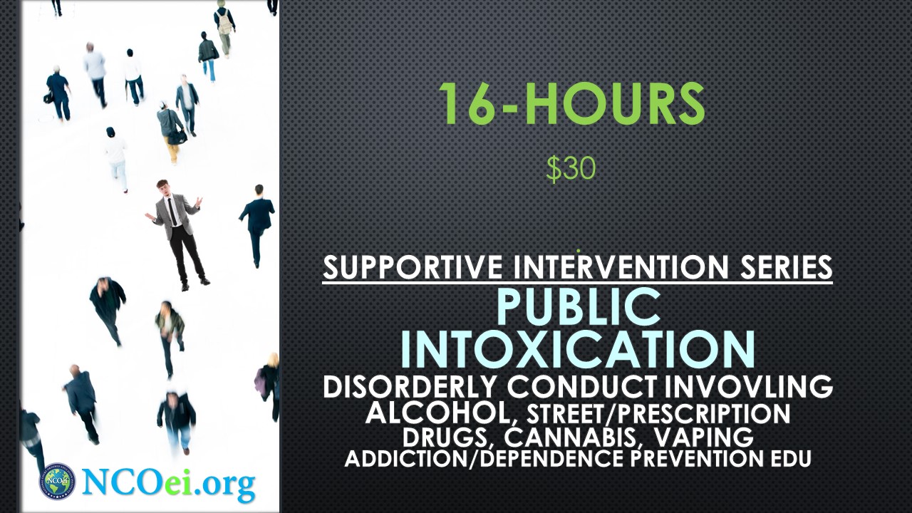 eCourse for court or probation