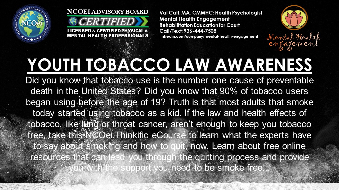 Court / Probation eCourses Behavior Modification