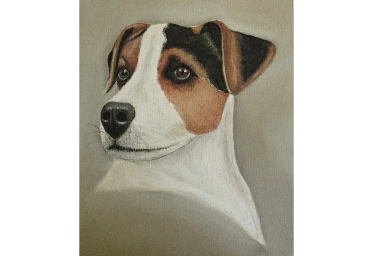 Colin Bradley School of Art