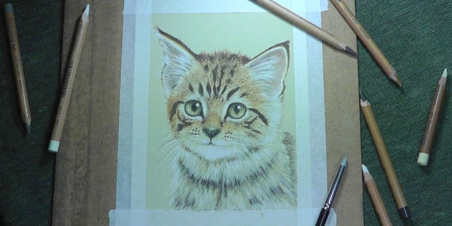 Colin Bradley School of Art