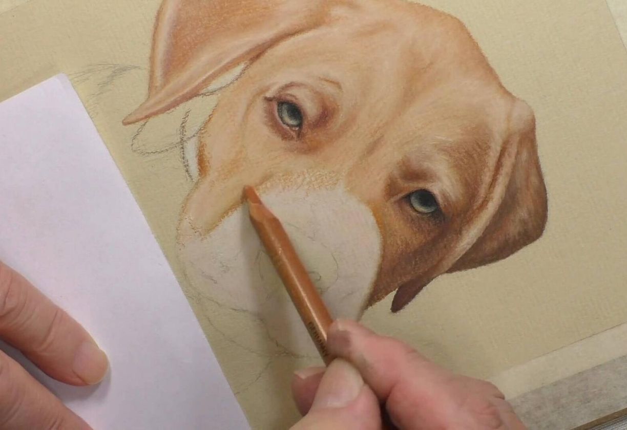 Colin Bradley School of Art