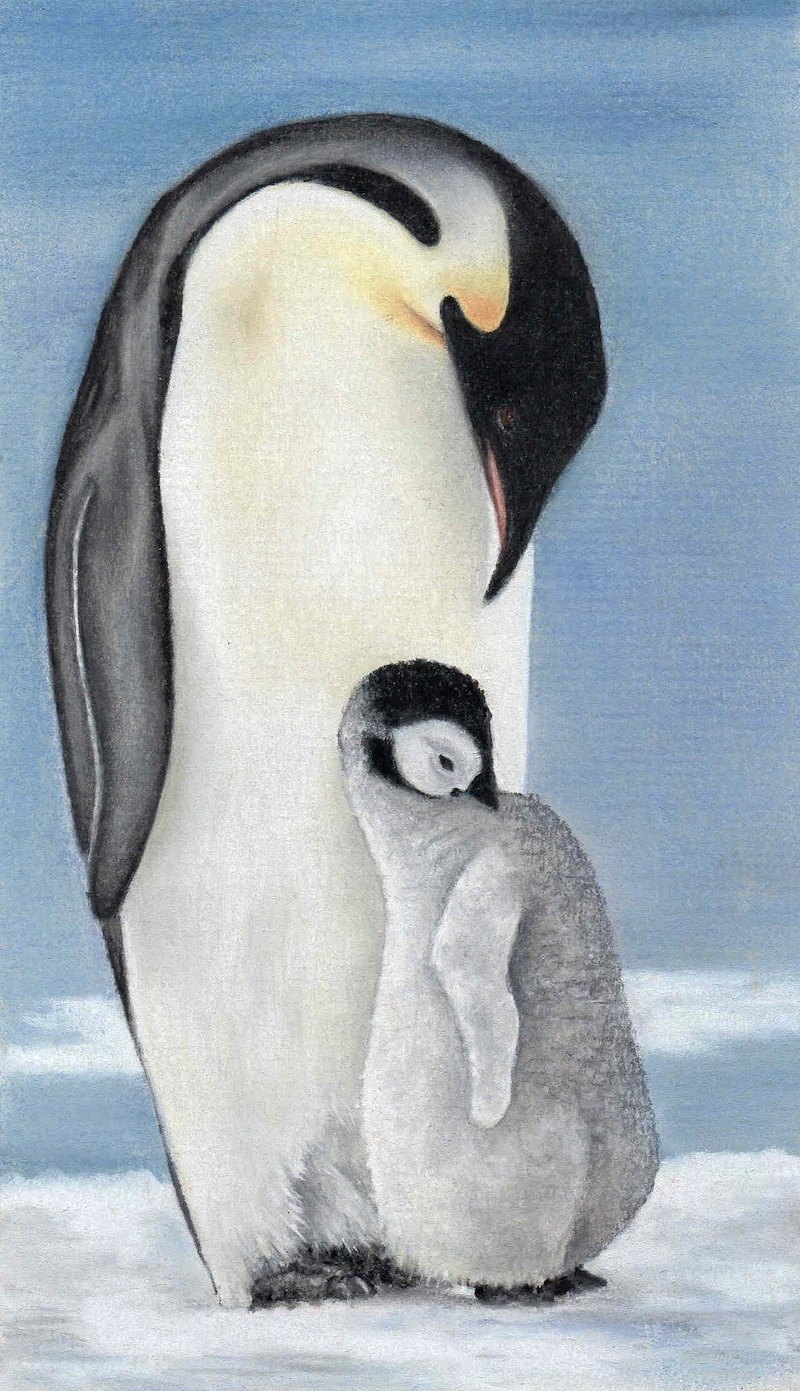 Mother and Baby Penguin