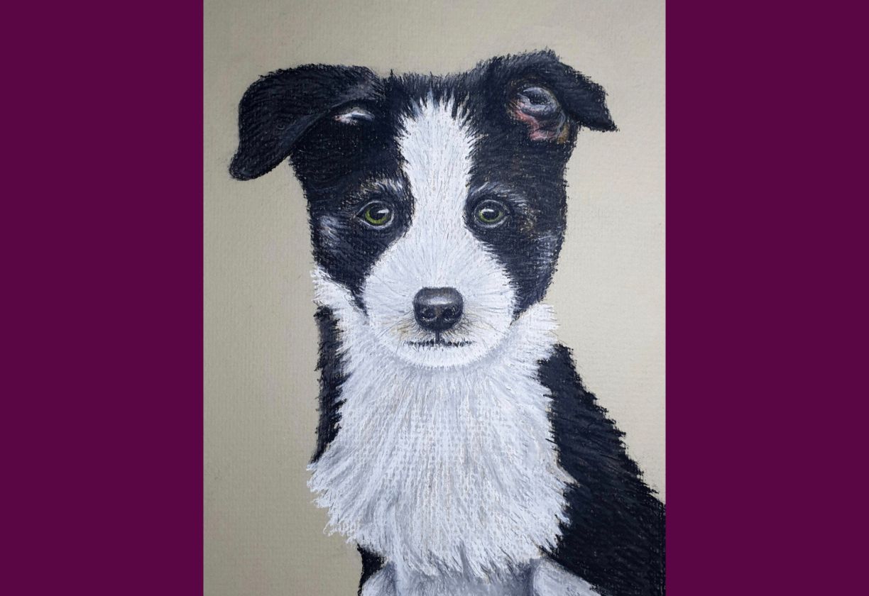 Colin Bradley School of Art