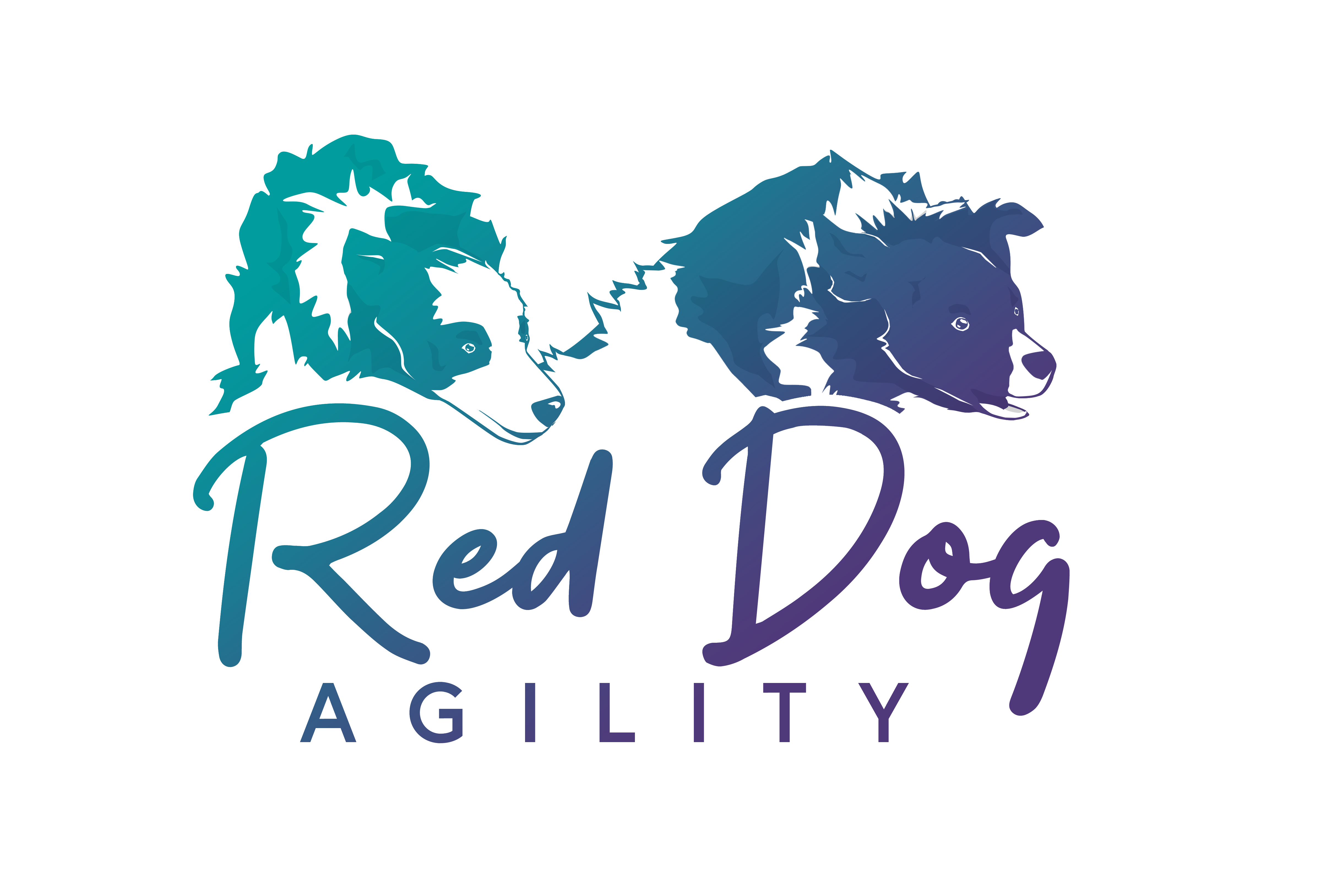 Red Dog Agility