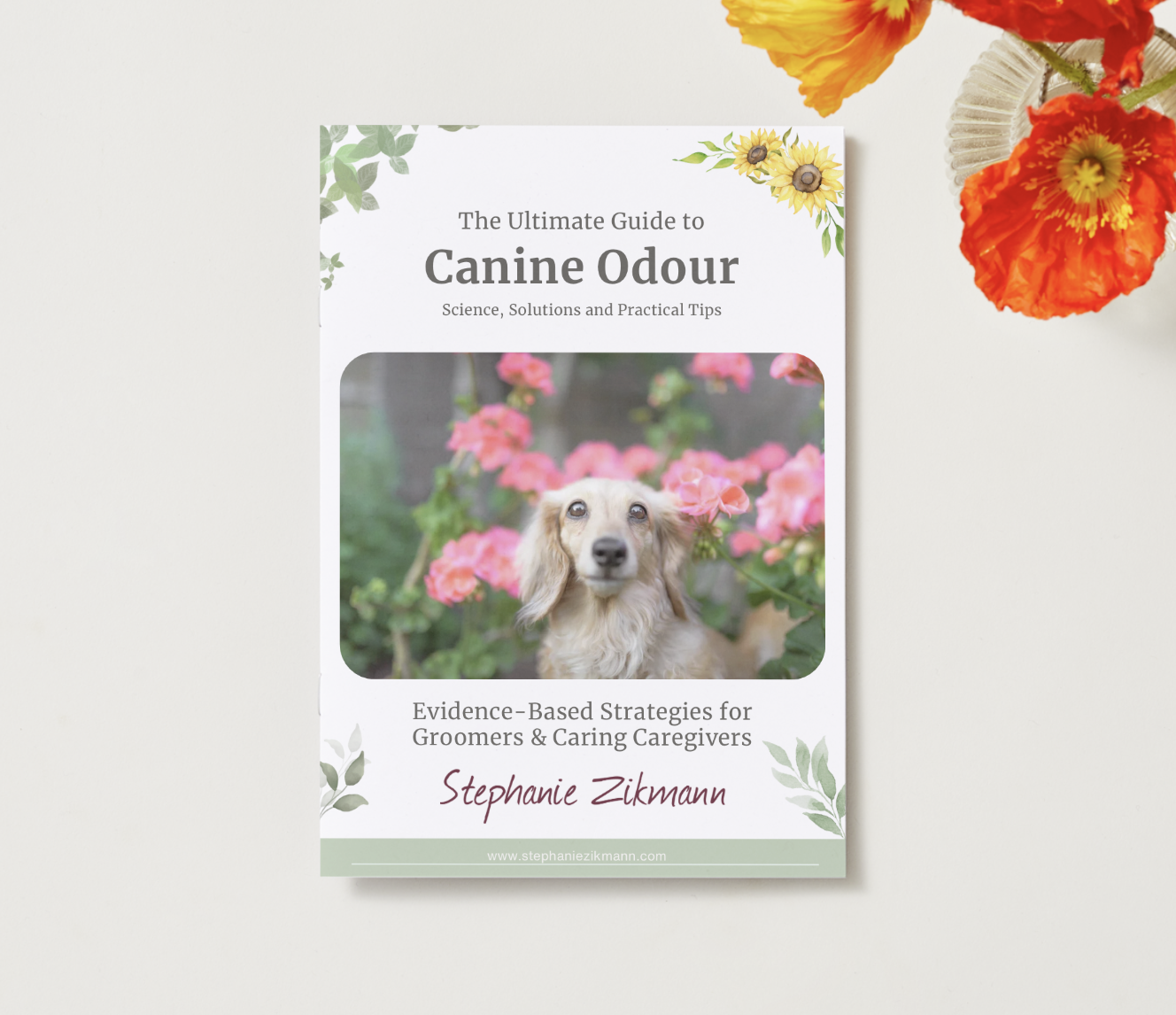 The Ultimate Guide to Canine Odour E-Booklet by Stephanie Zikmann