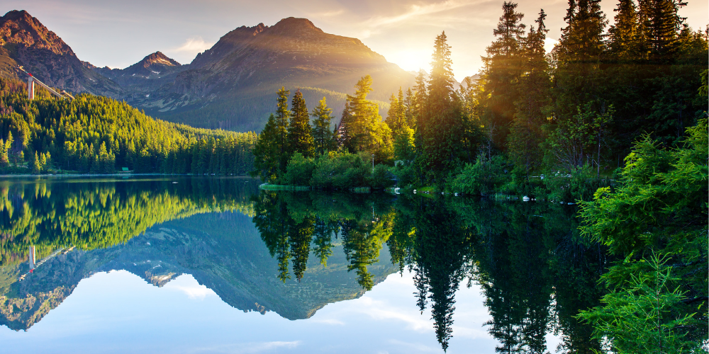 Image of mountains and tree being reflected in a still lake
