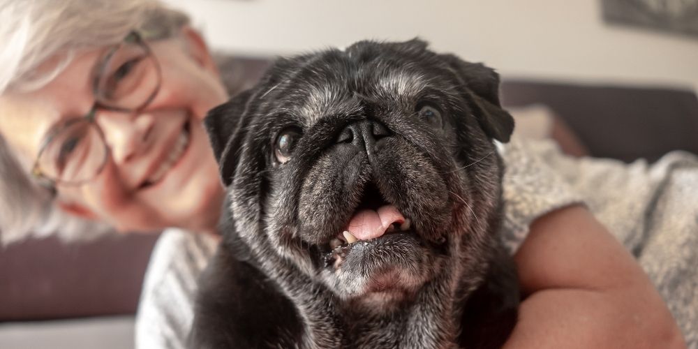 black pug dog being held lovingly by older white woman wearing glasses who smiles broadly