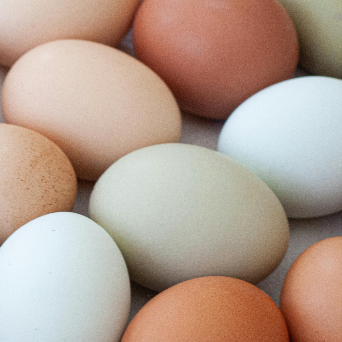 simplify with whole foods BBB&E