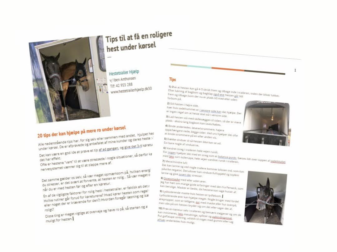 Guide med tips for en mindre stesset hest i hestetrsileren