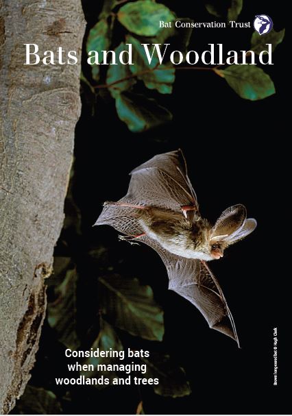Bats and Woodland leaflet cover in English