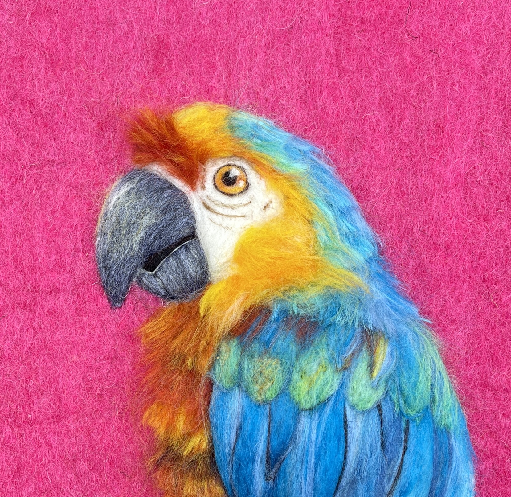 parrot head