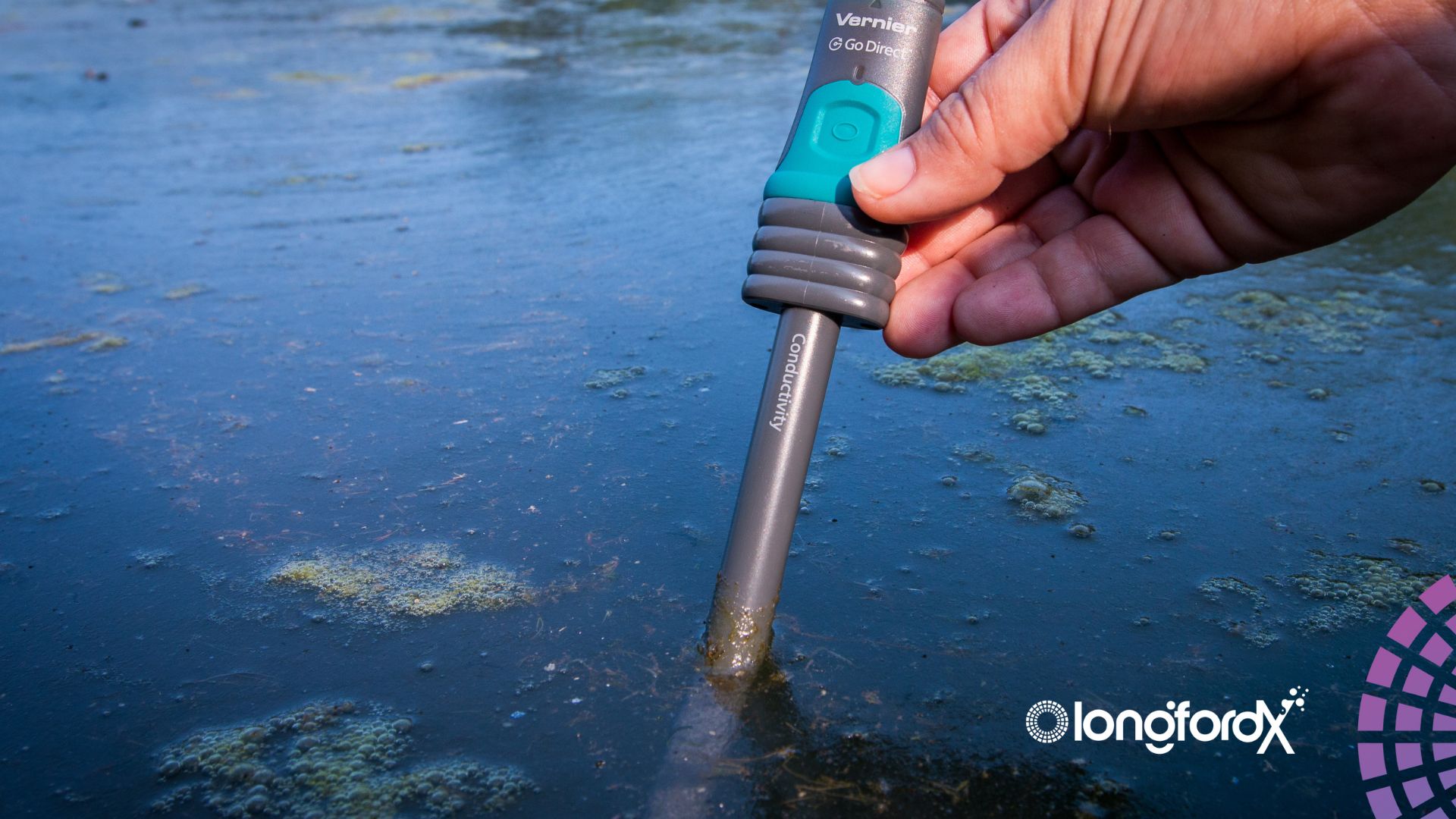 LongfordX Critical Thinking