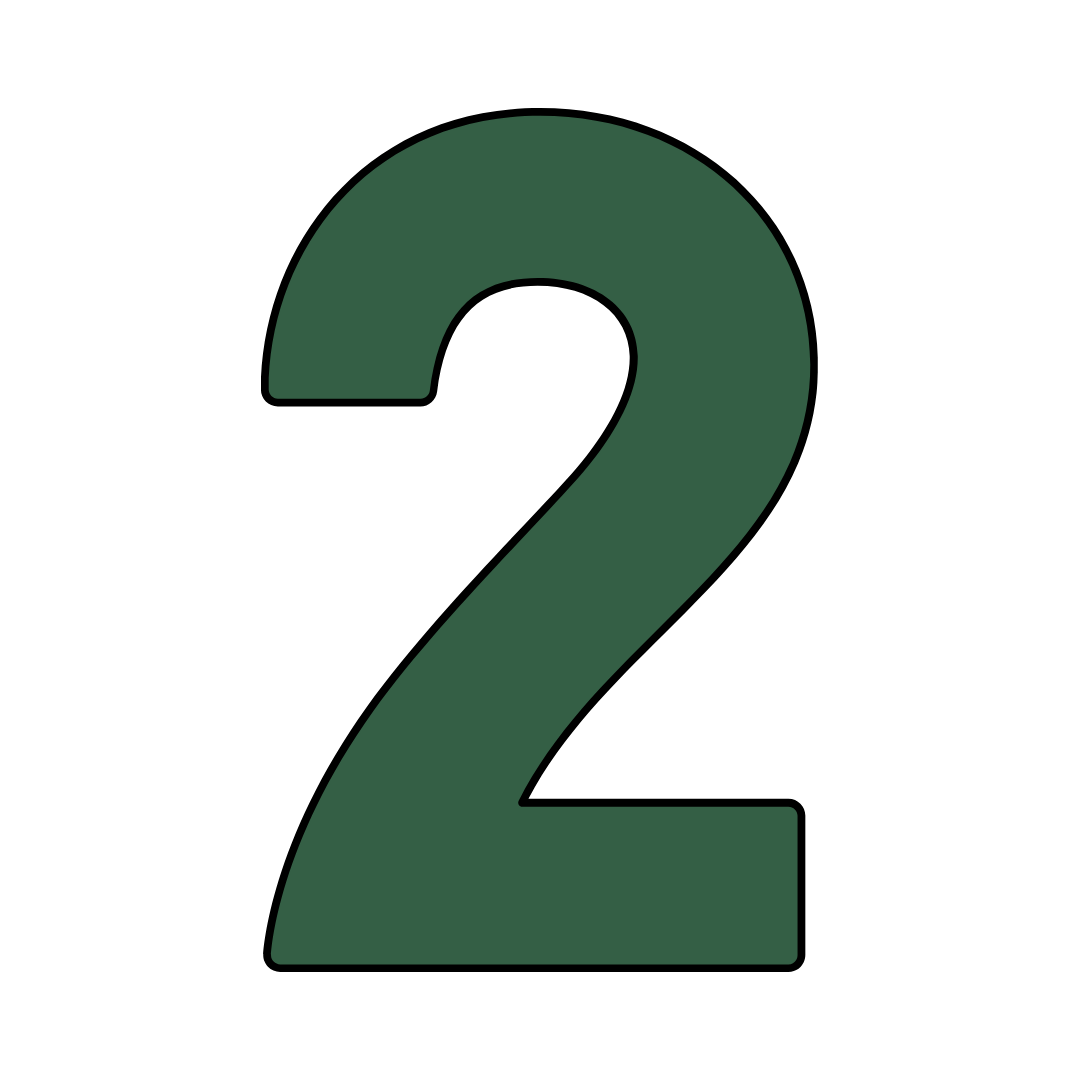 2. Social Media Campaign