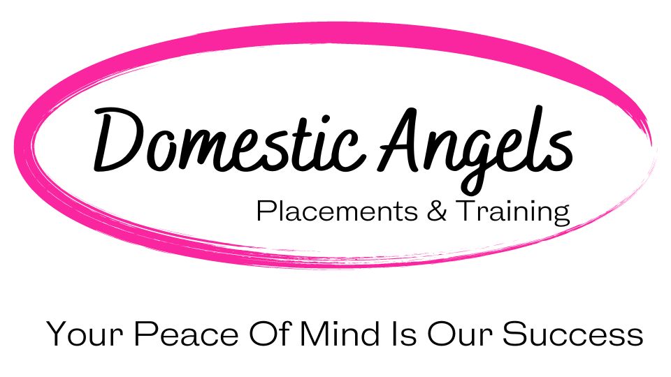 Domestic Angels logo