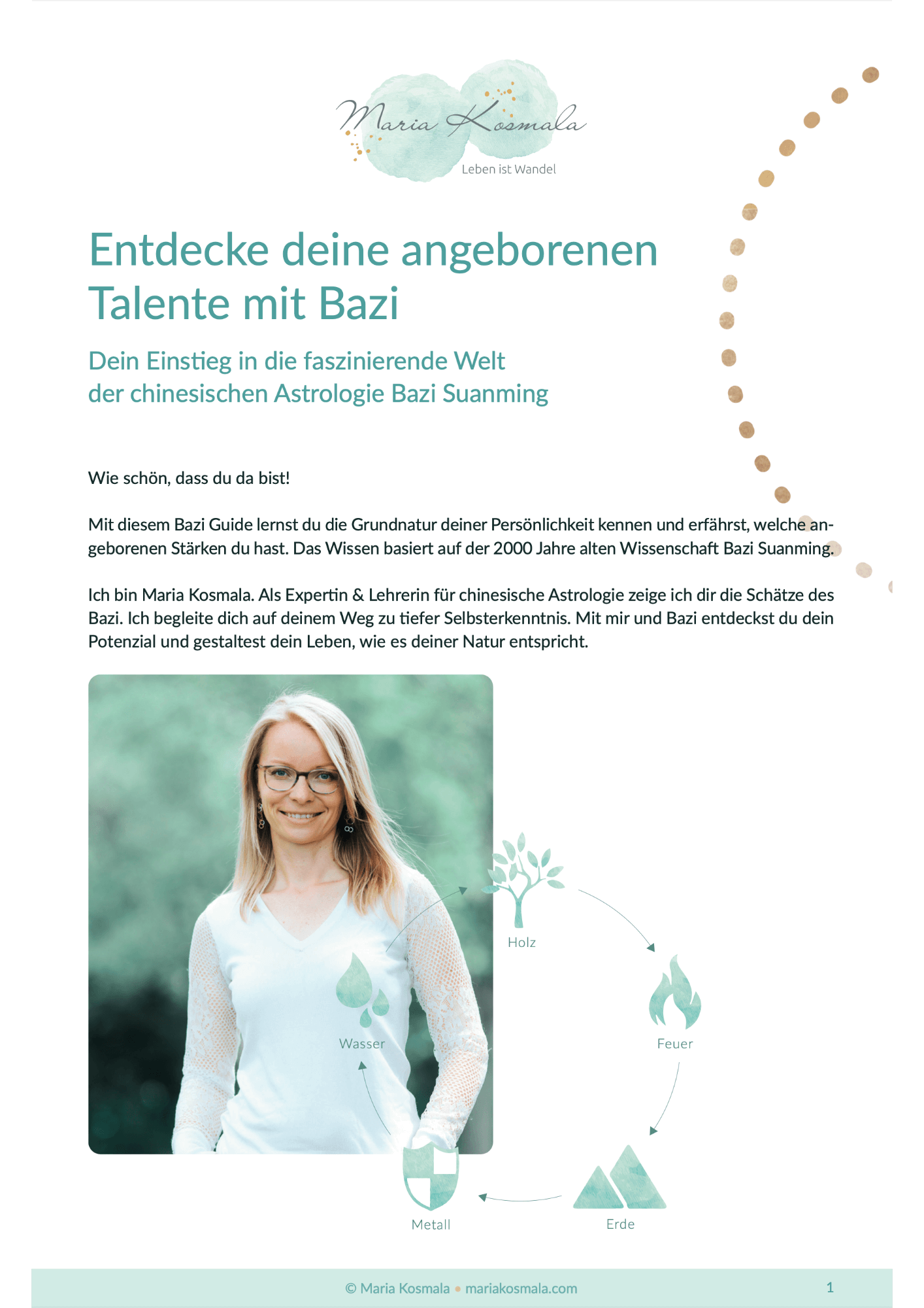 Bazi Analyse Guide der Bazi Wisdom Academy