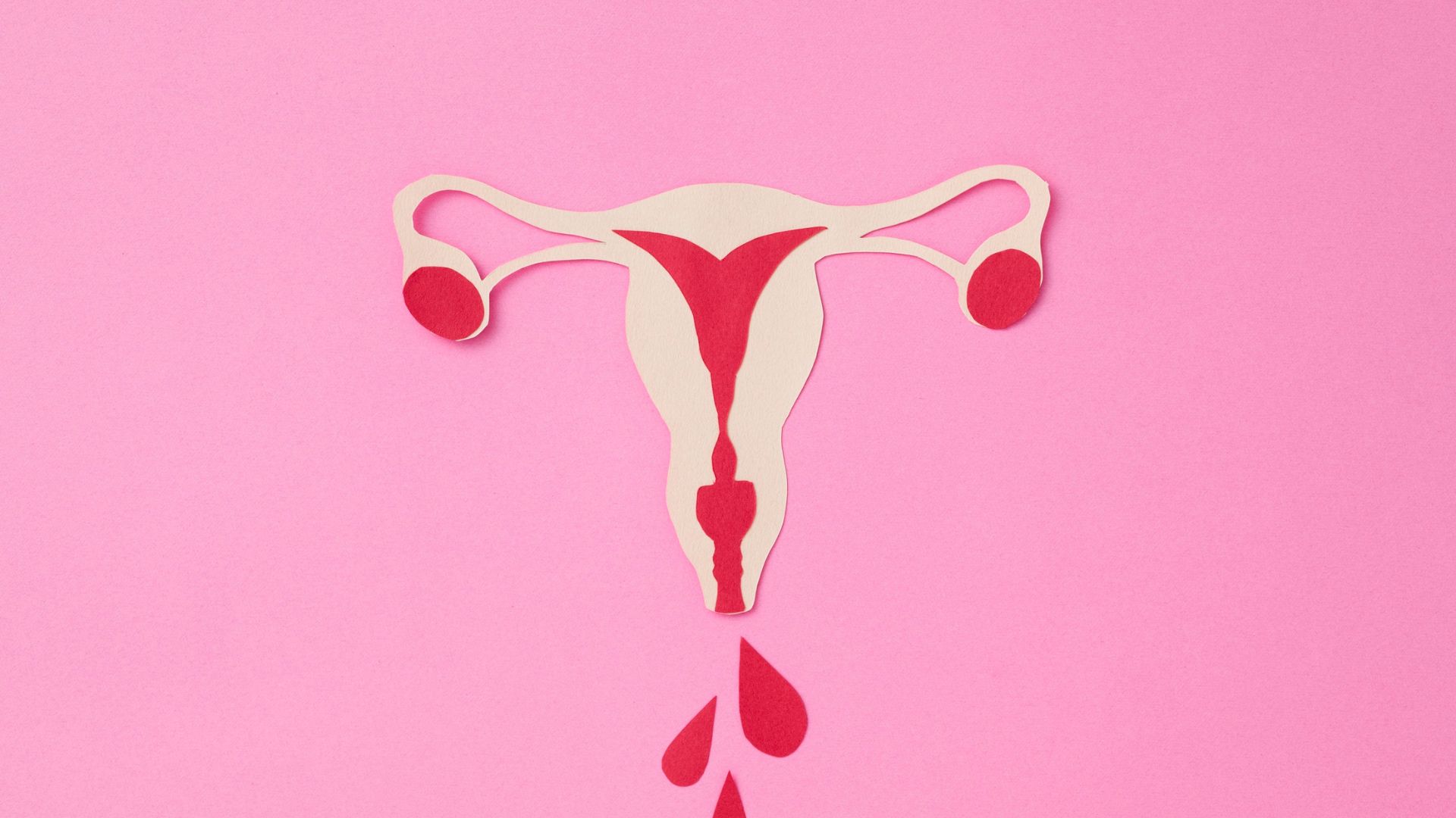Illustration de l’utérus en papier sur fond rose  Illustration artistique du cycle menstruel, représentant la vitalité et la sagesse du corps féminin.