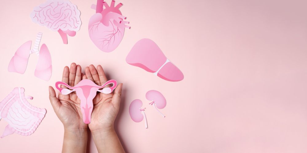🩷 Deux mains ouvertes au centre tenant une représentation stylisée de l’utérus, découpée dans du papier rose. Autour, on voit plusieurs illustrations anatomiques dans les mêmes tons (rose pâle à rose foncé) : un cœur, un cerveau, des poumons, des reins, un foie et une partie du système digestif. Le tout est disposé sur un fond rose uni, très doux et cohérent visuellement.