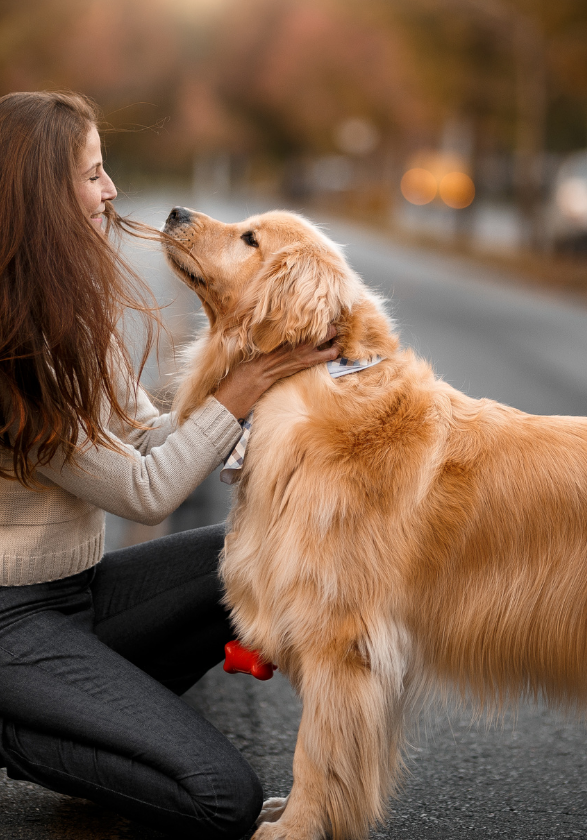 hund och människa på gata